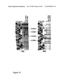 Antibiotics and Methods For Producing Them diagram and image