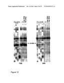 Antibiotics and Methods For Producing Them diagram and image