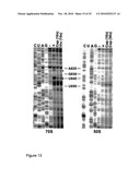 Antibiotics and Methods For Producing Them diagram and image