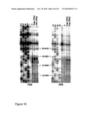 Antibiotics and Methods For Producing Them diagram and image