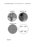 Antibiotics and Methods For Producing Them diagram and image