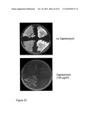 Antibiotics and Methods For Producing Them diagram and image