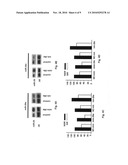 Methods of treating vascular disease and injury diagram and image