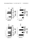 COMPOSITIONS AND METHODS FOR INHIBITING OR REVERSING FIBROTIC DISORDERS diagram and image