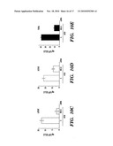 COMPOSITIONS AND METHODS FOR INHIBITING OR REVERSING FIBROTIC DISORDERS diagram and image
