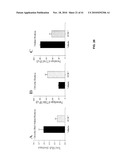 Compositions And Methods For The Treatment Of Muscular Dystrophy diagram and image