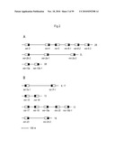 MICRORNA MOLECULES diagram and image