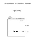 MICRORNA MOLECULES diagram and image