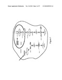 MICRO-RNA SCAFFOLDS AND NON-NATURALLY OCCURRING MICRO-RNAS diagram and image