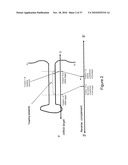 MICRO-RNA SCAFFOLDS AND NON-NATURALLY OCCURRING MICRO-RNAS diagram and image