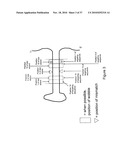 MICRO-RNA SCAFFOLDS AND NON-NATURALLY OCCURRING MICRO-RNAS diagram and image