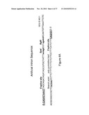 MICRO-RNA SCAFFOLDS AND NON-NATURALLY OCCURRING MICRO-RNAS diagram and image