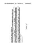 MICRO-RNA SCAFFOLDS AND NON-NATURALLY OCCURRING MICRO-RNAS diagram and image