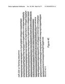 MICRO-RNA SCAFFOLDS AND NON-NATURALLY OCCURRING MICRO-RNAS diagram and image