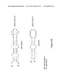 MICRO-RNA SCAFFOLDS AND NON-NATURALLY OCCURRING MICRO-RNAS diagram and image