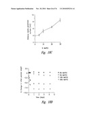 ANTI-ANGIOGENIC COMPOSITIONS AND METHODS OF USE diagram and image