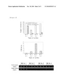 PEPTIDE NUCLEIC ACID OLIGOMERS COMPRISING UNIVERSAL BASES,PREPARATION METHODS THEREOF, AND KITS, DEVICES AND METHODS FOR THE ANALYSIS, DETECTION OR MODULATION OF NUCLEIC ACIDS USING THE SAME diagram and image