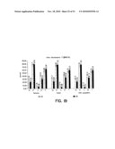 METHODS FOR GENERATING DATABASES AND DATABASES FOR IDENTIFYING POLYMORPHIC GENETIC MARKERS diagram and image