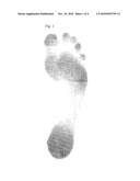 Foot Type and Plantar Pressure Measuring Device diagram and image