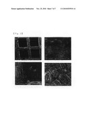 Single crystal silicon carbaide nanowire, method of preparation thereof, and filter comprising the same diagram and image