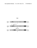 METHODS AND DEVICES FOR ISOTACHOPHORESIS APPLICATIONS diagram and image