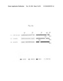 Method of controlling cooking apparatus with temperature display unit diagram and image