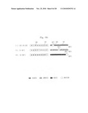 Method of controlling cooking apparatus with temperature display unit diagram and image