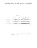 Method of controlling cooking apparatus with temperature display unit diagram and image