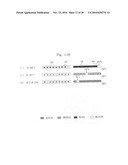 Method of controlling cooking apparatus with temperature display unit diagram and image