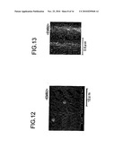 METHOD FOR GROWING ZINC-OXIDE-BASED SEMICONDUCTOR DEVICE AND METHOD FOR MANUFACTURING SEMICONDUCTOR LIGHT EMITTING DEVICE diagram and image