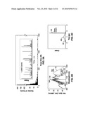 METHOD AND APPARATUS FOR GENERATION AND DETECTION OF ROGUE WAVES diagram and image