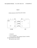 Anti-human tenascin monoclonal antibody diagram and image