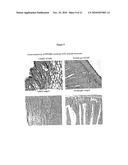 Anti-human tenascin monoclonal antibody diagram and image