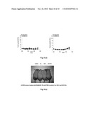 PROMOTER INDUCIBLE BY REACTIVE OXYGEN SPECIES AND VECTOR COMPRISING THE SAME diagram and image