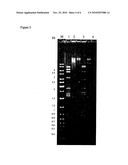 Bacteriophage preparations and methods of use thereof diagram and image