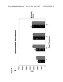 AMPHIPHILIC PEPTIDE MATRICES FOR TREATMENT OF OSTEOPOROSIS diagram and image