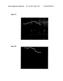 AMPHIPHILIC PEPTIDE MATRICES FOR TREATMENT OF OSTEOPOROSIS diagram and image