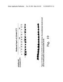 QUINONE DERIVATIVES, PHARMACEUTICAL COMPOSITIONS, AND USES THEREOF diagram and image