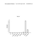 INDUCED INTERNALIZATION OF SURFACE RECEPTORS diagram and image