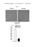 INDUCED INTERNALIZATION OF SURFACE RECEPTORS diagram and image