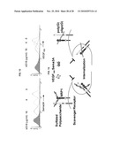 INDUCED INTERNALIZATION OF SURFACE RECEPTORS diagram and image