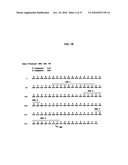 HUMAN MONOCLONAL ANTIBODIES TO FUCOSYL-GM1 AND METHODS FOR USING ANTI-FUCOSYL-GM1 diagram and image