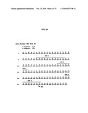 HUMAN MONOCLONAL ANTIBODIES TO FUCOSYL-GM1 AND METHODS FOR USING ANTI-FUCOSYL-GM1 diagram and image