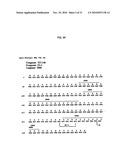 HUMAN MONOCLONAL ANTIBODIES TO FUCOSYL-GM1 AND METHODS FOR USING ANTI-FUCOSYL-GM1 diagram and image