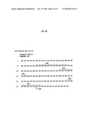 HUMAN MONOCLONAL ANTIBODIES TO FUCOSYL-GM1 AND METHODS FOR USING ANTI-FUCOSYL-GM1 diagram and image