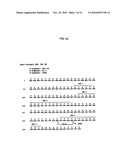 HUMAN MONOCLONAL ANTIBODIES TO FUCOSYL-GM1 AND METHODS FOR USING ANTI-FUCOSYL-GM1 diagram and image