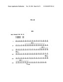 HUMAN MONOCLONAL ANTIBODIES TO FUCOSYL-GM1 AND METHODS FOR USING ANTI-FUCOSYL-GM1 diagram and image