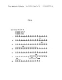 HUMAN MONOCLONAL ANTIBODIES TO FUCOSYL-GM1 AND METHODS FOR USING ANTI-FUCOSYL-GM1 diagram and image