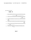 HUMAN MONOCLONAL ANTIBODIES TO FUCOSYL-GM1 AND METHODS FOR USING ANTI-FUCOSYL-GM1 diagram and image