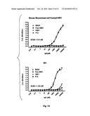 HUMAN MONOCLONAL ANTIBODIES TO FUCOSYL-GM1 AND METHODS FOR USING ANTI-FUCOSYL-GM1 diagram and image